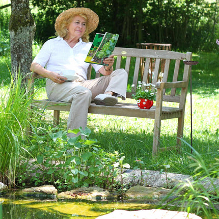 Litinové pítko pro ptáky se zemním hrotem