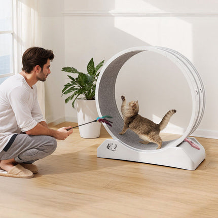 Cat Exercise Wheel 31.5 Inch, Quiet Brake, Carpeted Runway