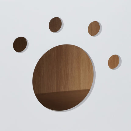 Katzenschrank mit Eingang