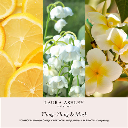 Ceramic Scent Tag with 30-Day Fragrance