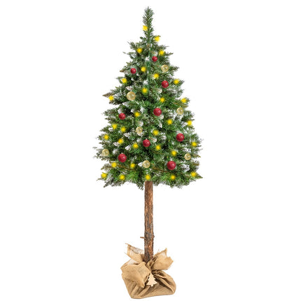 Vánoční stromek na kmeni – diamantová borovice 180cm