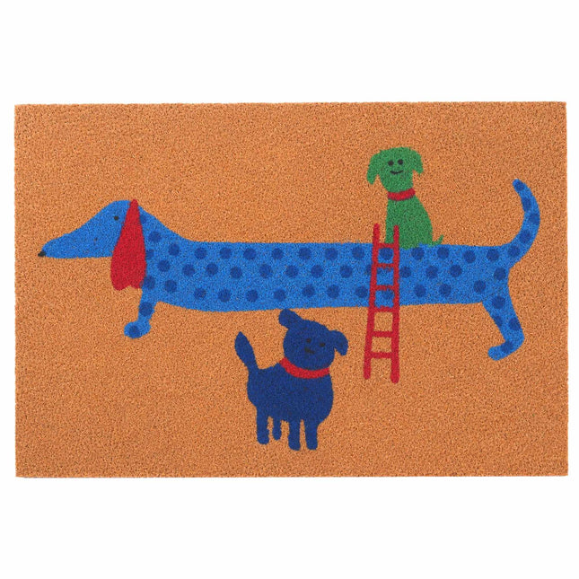 Kokosová rohožka se zvířecím motivem, 60x40 cm, protiskluzová spodní strana