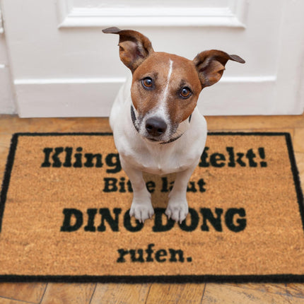 Kokosová rohožka DING DONG