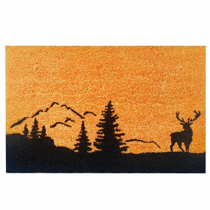 Kokosová rohožka, 60x40 cm, dekorativní vzor