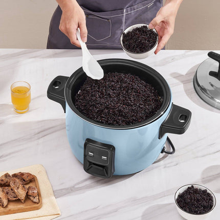 Commercial Rice Cooker, 60 Cup 13L, Nonstick, Keep Warm