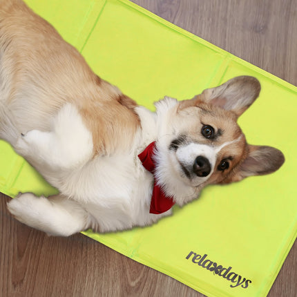 Cooling mat for dogs