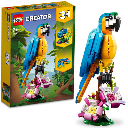 Creator - Exotický papoušek 31136