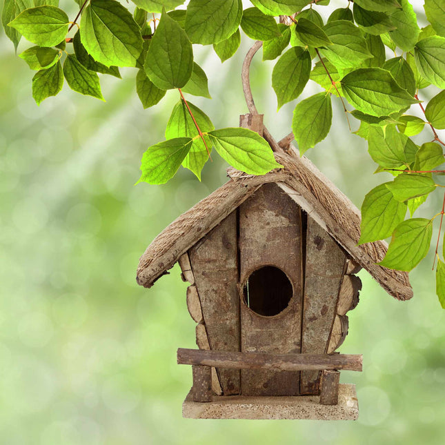 Decorative birdhouse in various designs