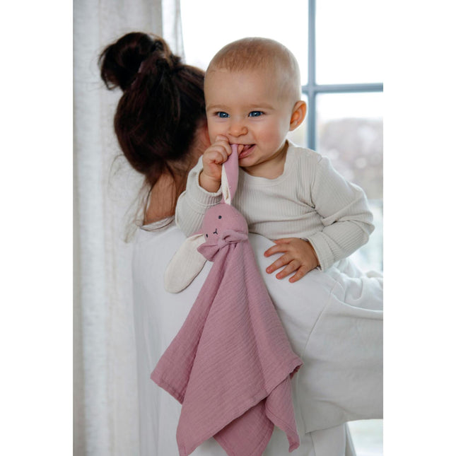 Diinglisar, mazlicí dečka, králík, mušelín růžová