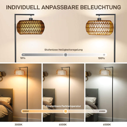 Dimmable LED Floor Lamp, Dual Shade, 3 Color Temps, Black