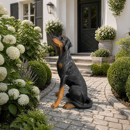 Doberman Garden Dog Statue, Life-Size Polyresin