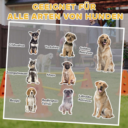 Agility sada pro psy – 3dílná tréninková sada se 6 kužely, taška
