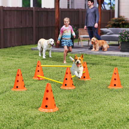 Agility sada pro psy – 3dílná tréninková sada se 6 kužely, taška