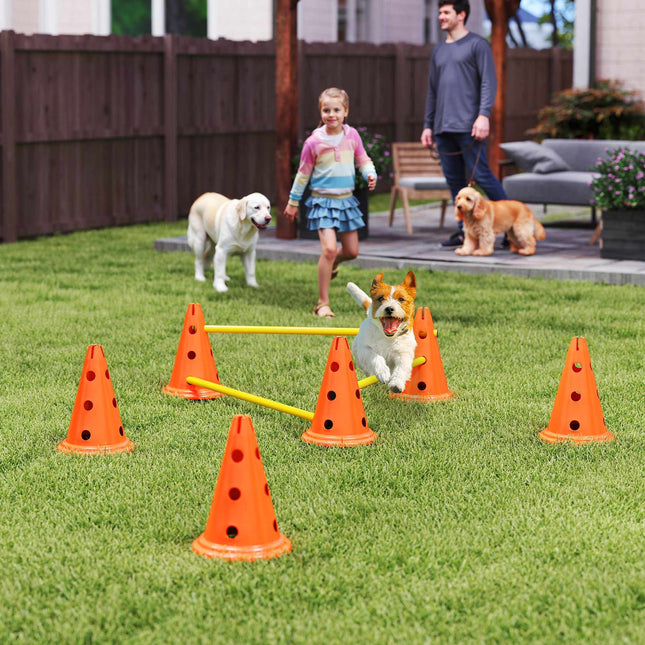 Agility sada pro psy – 3dílná tréninková sada se 6 kužely, taška