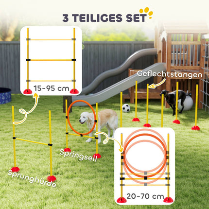 Dog Agility Training Set, 4-piece adjustable equipment