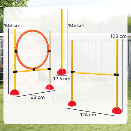 Dog Agility Training Set, 4-piece adjustable equipment