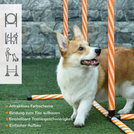 Agility tréninková sada pro psy s tunelem, přenosná oranžová/bílá