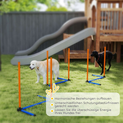 Agility sada pro psy, přenosná s nastavitelnými slalomovými tyčemi