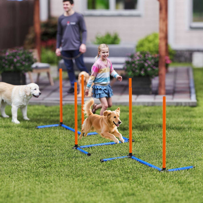 Agility sada pro psy, přenosná s nastavitelnými slalomovými tyčemi