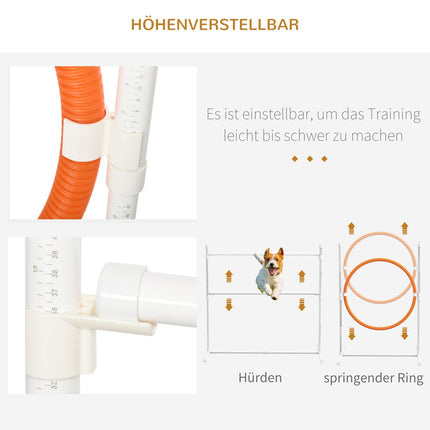 Agility sada pro psy s nastavitelnými překážkami a tunelem