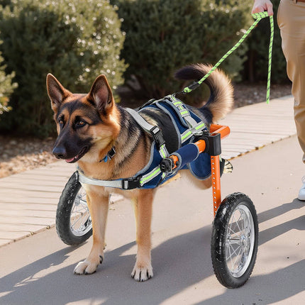 Dog Wheelchair for Back Legs, Adjustable 2-Wheel, 48–88 lb