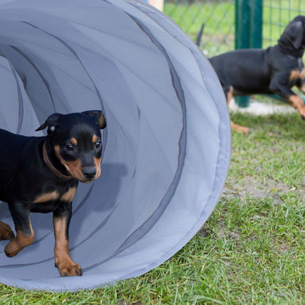 Agility tunel pro psy 2m