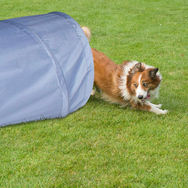 Agility tunel pro psy 2m