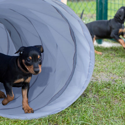 Agility tunel pro psy 3m
