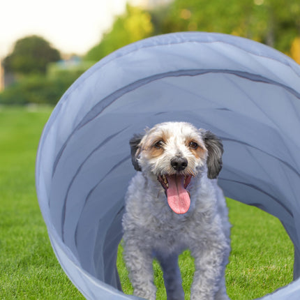 Agility tunel pro psy 3m