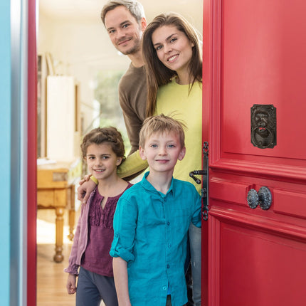 Dveřní klepadlo lev