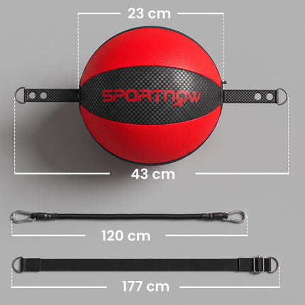 Double-End Speedball Set with Adjustable Bungee Cord
