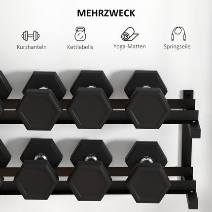 Wall-mounted dumbbell rack, 2 shelves, 70 kg capacity