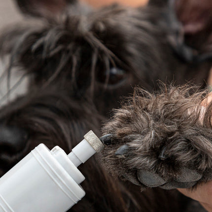 Elektrická bruska na drápky pro mazlíčky PediPet InnovaGoods