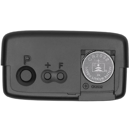 Elektronický P-disk