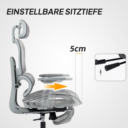 Ergonomic Office Chair with Footrest, Reclining Backrest