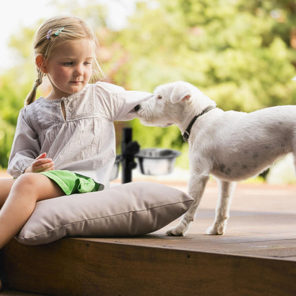Feeding station for dogs can be raised and lowered