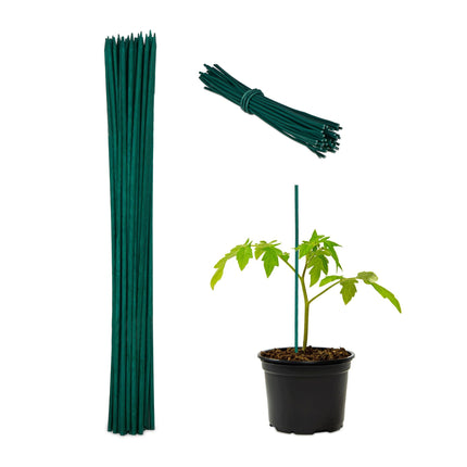 Tyčky k rostlinám 30 cm, sada 50 ks