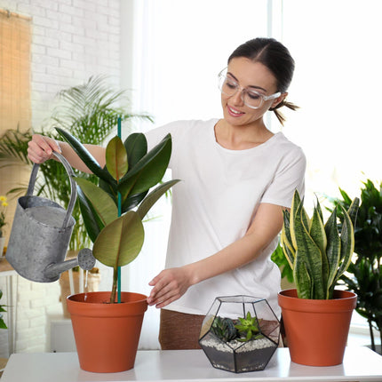 Blumenstäbe 60 cm im 50er Set