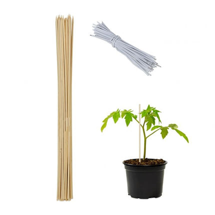 Tyčky k rostlinám 60 cm, balení 50 ks