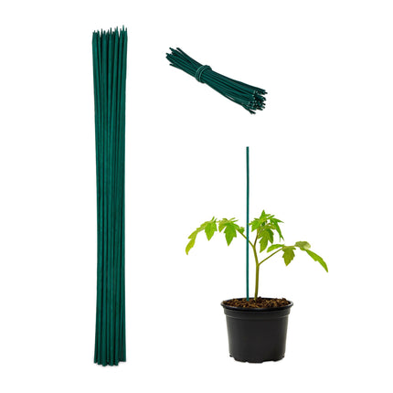 Blumenstäbe 60 cm im 50er Set
