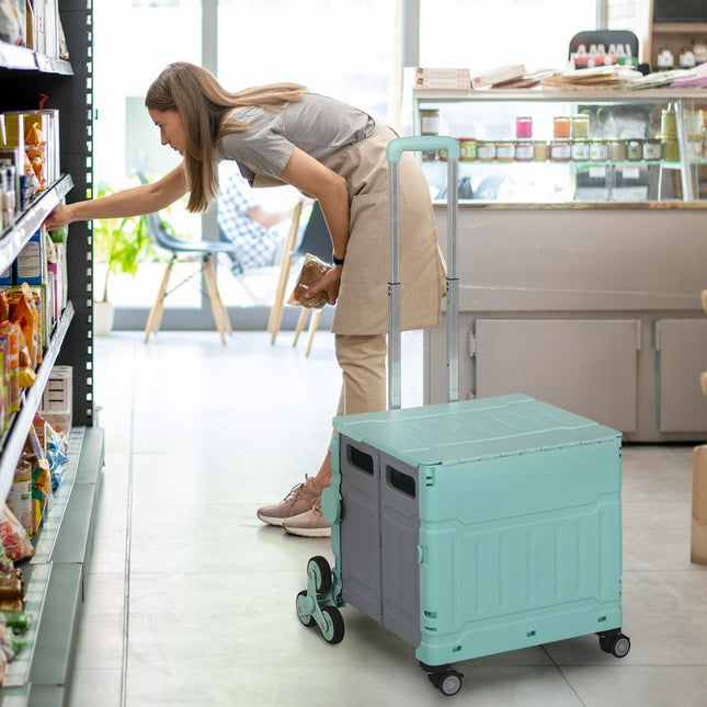 Skládací nákupní vozík – nosnost 80 kg, teleskopická rukojeť