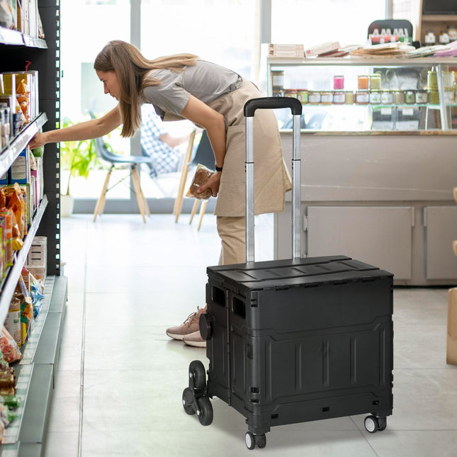 Skládací nákupní vozík, nosnost 80 kg, schodišťový