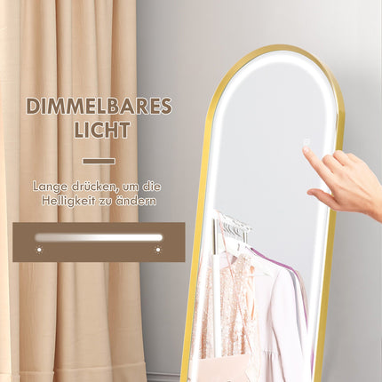 LED Full Length Mirror, Dimmable Wardrobe Mirror, Touch Switch, Gold