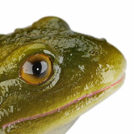 Zahradní figurka žáby z umělého kamene