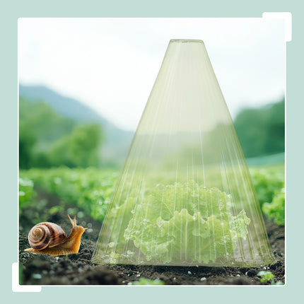 Garden Plant Cloches – Protects Seedlings from Pests