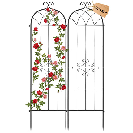 Garden Rose Trellis, 2-Pack Steel 180 x 52.5 cm