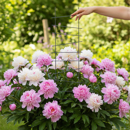 Garden Trellis Set, 8 Metal Supports for Climbing Plants