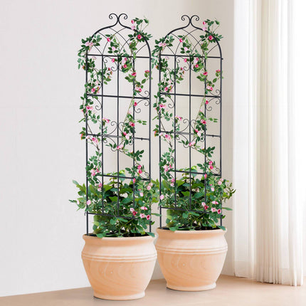 Garden Trellis for Climbing Plants, Metal, 71 x 20 in, 2-Pack