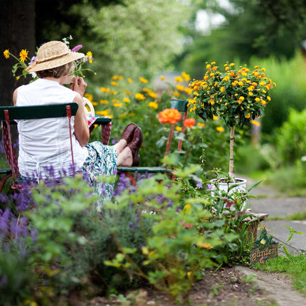 Zahradní zásuvka „garden“