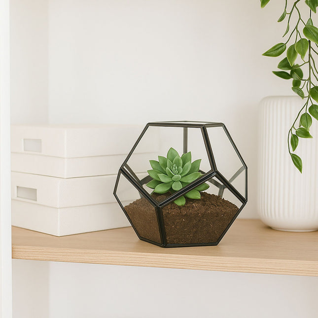 Geometrické skleněné terárium – otevřený design pro pokojové rostliny